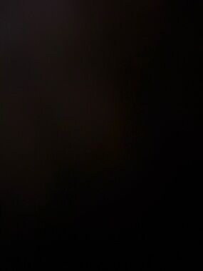 Meet your Posher, Kya